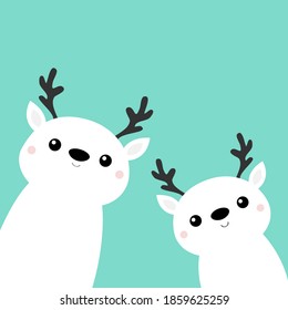 Two white reindeer deer head face icon set. Cute cartoon kawaii baby character. Nose, horns. Merry Christmas. Happy New Year. Funny animal. Flat design. Hello winter. Blue background. Vector