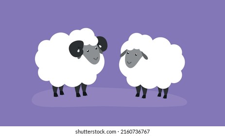 Two white sheep, one with black horns