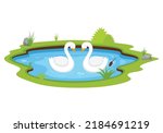 Two white swan swimming in the pond vector illustration