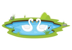 Two White Swan Swimming In The Pond Vector Illustration