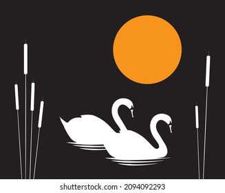 Two white swans illustration swimming in a pond at night, vector. White swans couple in a pond with pond plants on full moon. Canvas art design, poster design. Wall art, artwork, artistic design