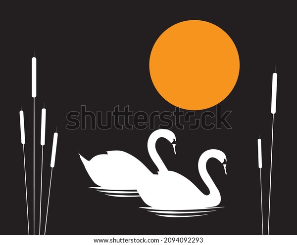 Two white swans illustration swimming in a pond at night. White swans couple in a pond with pond plants on full moon. Wall art, artwork, artistic design.