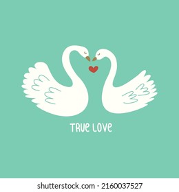 Two white swans in love. Inscription true love. Colorful vector illustration hand drawn. Card or print. Pair of birds symbolizing true light pure feelings