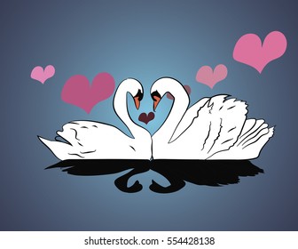 two white swans in love on the dark blue background