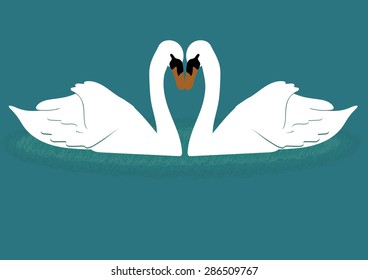 Two white swans on blue background