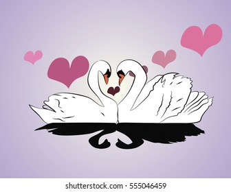 two white swans on the pink background