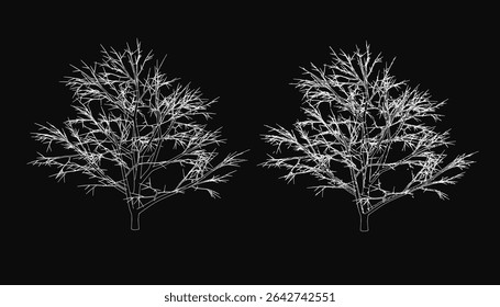 Two white trees stand in stark contrast against a black background, their silhouettes creating a mysterious and ethereal atmosphere. The minimalist composition highlights the elegant shapes