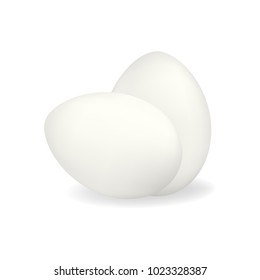 Two white vector realistic chicken eggs with shadow isolated on white background. Stand and lie eggs composition mockup for subsistence farming market or store design, easter advertisement