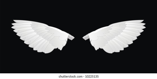 Two white vector wings on black background