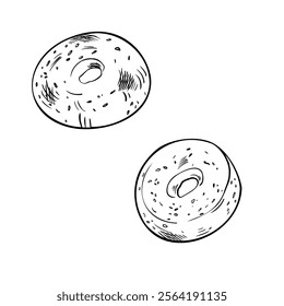 Two whole bagel with sesame black white vector illustration on white. Doughnut bread hand drawn by ink graphic. Outline bread ring monochrome sketch for design signage, paper, packaging bakery