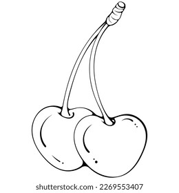 Two whole cherries on a stalk. Vector illustration in hand drawn sketch doodle style. Line art botanical natural ingredient for fresh juice isolated on white. Close up summer fruit. Coloring book page