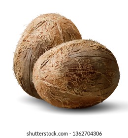 Two whole coconut nuts in different angles on a white background.  3D vector. High detailed realistic illustration