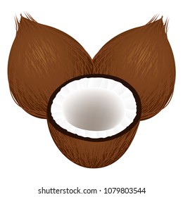 Two whole coconuts and a half isolated on white background.