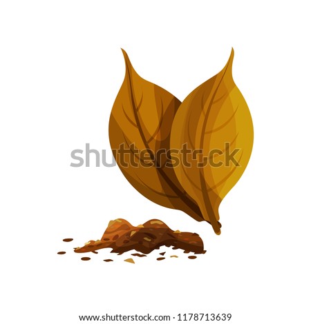 Two whole dry leaves and small heap of shredded tobacco for smoking. Decorative flat vector element for product packaging
