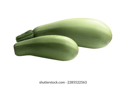 Two whole fresh zucchinis realistic vector illustration