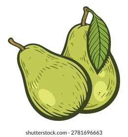 Two whole green pears with stems and green leaf, ripe fruit composition, colourful vector, hand-drawn illustration, line art contour, food logo isolated, menu or market element