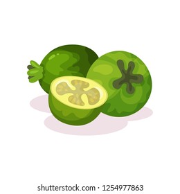 Two whole and half of ripe feijoa. Tropical fruit. Vegetarian nutrition. Organic food. Detailed flat vector design