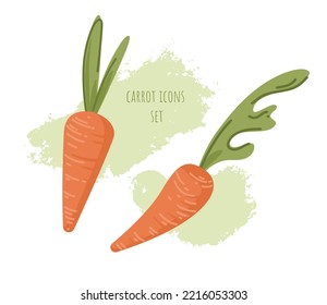 Dos zanahorias grandes enteras con hojas verdes frescas sobre el fondo de la pintura abstracta. Hortalizas de color naranja brillante. Iconos de comida plana. Elemento de arte decorativo para el diseño de menús de cafés. Agricultura ecológica.