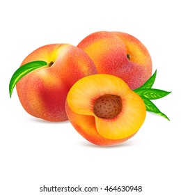Two whole ripe peach fruit with half and leaves isolated on white background. Realistic vector illustration.