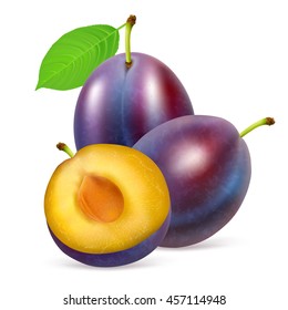 Two whole ripe plums fruit with half and leaves isolated on white background. Realistic vector illustration.