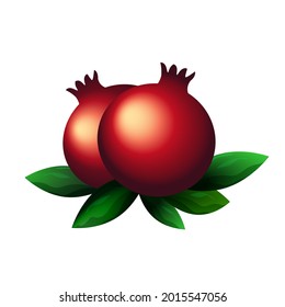 Two whole ripe pomegranates with green leaves vector illustration, red ripe fruits