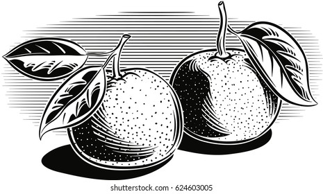 Two whole tangerines