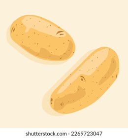 Two whole unpeeled potatoes, top view. Vector icons of vegetables. Fresh food.