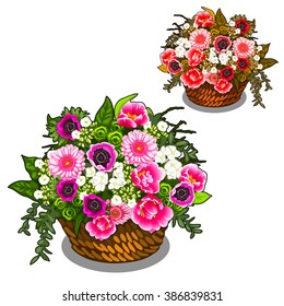 Two wicker baskets with pink and red flowers tulips, peonies and zinnias. Vector illustration.