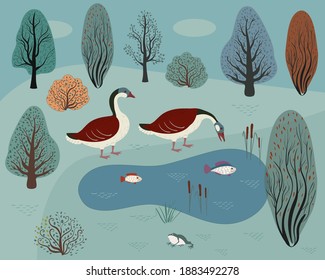 Dos gansos silvestres en un lago forestal. Bosque otoñal y lago con peces.