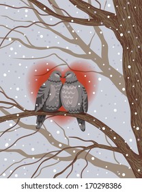 Two wild pigeons are sitting on tree branch