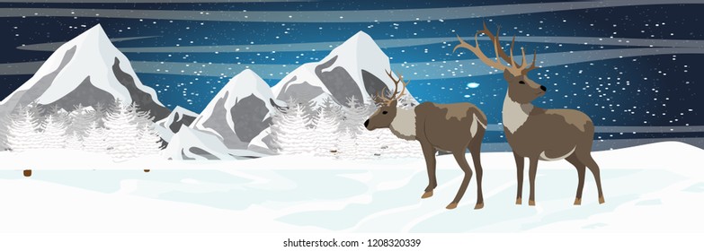 Two wild reindeer in the north. Male and female. Mountains, snow-covered spruce forest. Animals USA, Scandinavia, Canada, Russia. Starlight Night. Vector landscape