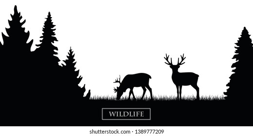 two wildlife reindeer silhouette in the forest on the meadow black and white vector illustration EPS10