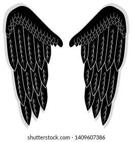 Two wings with large feathers. Angel wings. Part of the costume: wings for the flight.