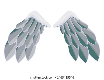 Two wings with multi-colored feathers. Wings for flight, wings like a bird.