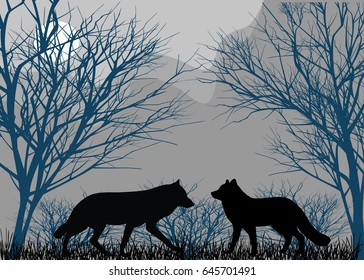 Two wolves in forest in the moonlight