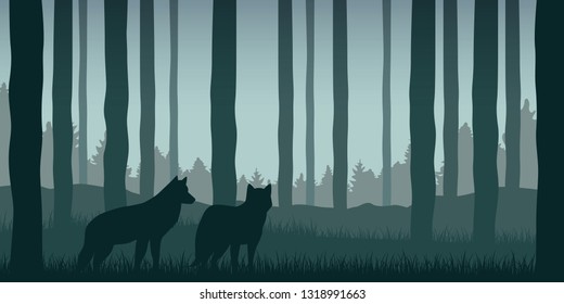 two wolves in green forest wildlife nature landscape vector illustration EPS10