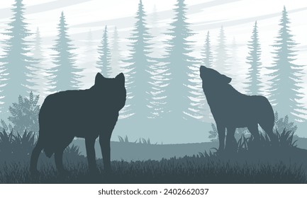 Two wolves on the edge of a spruce forest. Realistic flat vector landscape in blue colors