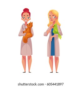 Two women, female veterinarians, vets in medical coats holding cat, pet and parrot, bird, cartoon vector illustration isolated on white background. Female vets, veterinarian doctors holding pets