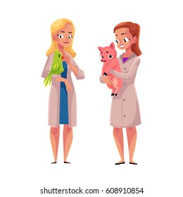Two women, female veterinarians, vets in medical coats holding parrot and pig, cartoon vector illustration isolated on white background. Female vets, veterinarian doctors, birds and farm animals