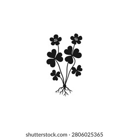 Two wood sorrel leaf stems growing side-by-side on delicate stalks