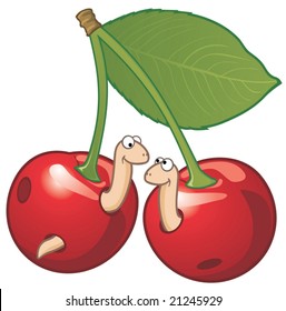 Two worms in cherries