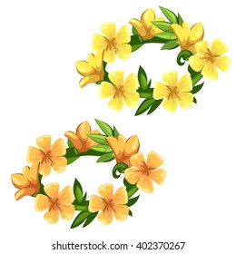 Two wreath of bright summer flowers isolated on white background. Vector illustration.