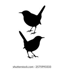 Two wren bird silhouette vector illustration design on white background.