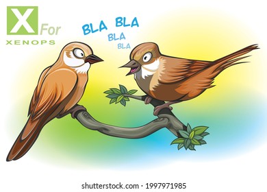 Two Xenops bird sitting on the branches of a tree talking to each other. behind bla bla letter appearing on background. x for Xenop.