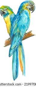 two yellow blue Ara parrots on a banch