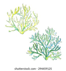 two yellow blue corals watercolor vector