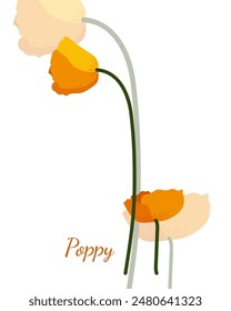 Two yellow home flowers poppies. Simple flat graphic design of yellow home flowers. Sample vector home plants. Vector isolated flat style art