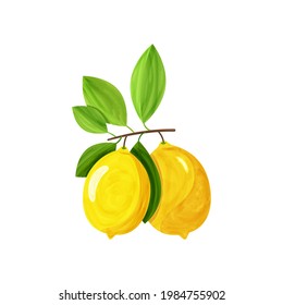 two yellow lemons on the branch. concept of antioxidant diet, refreshing drink, citrus tree with leaves. kitchen design decoration, food packaging, food illustration with shadows on white background