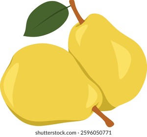 Two yellow pears isolated on white background