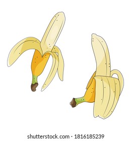 Dos bananas peladas de color amarillo, frutas tropicales, ilustración vectorial de stock.